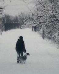 Counseling and Psychotherapy Services for the North Shore and Chicago